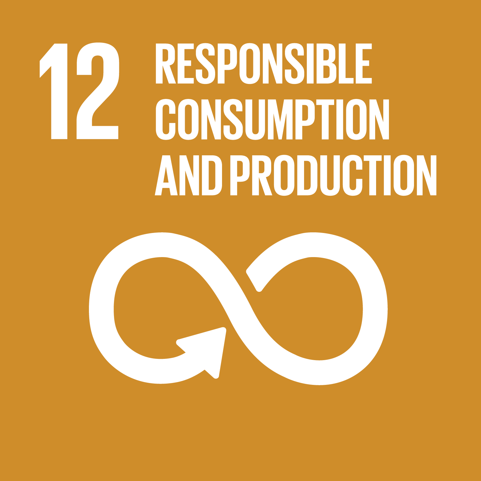 SDG 12: Responsible Consumption & Production
